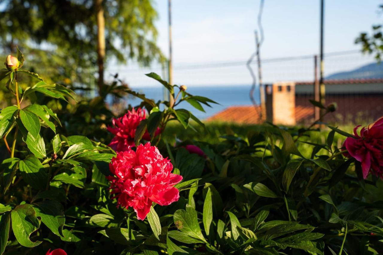 Apartment Stella Marina Rabac Εξωτερικό φωτογραφία